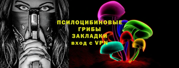 сатива Бородино