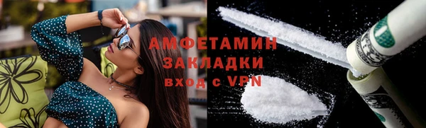 сатива Бородино