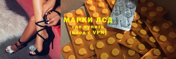 сатива Бородино