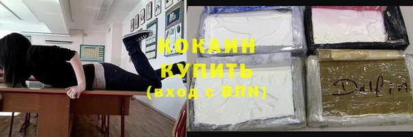 сатива Бородино