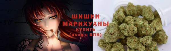 сатива Бородино