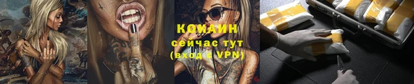сатива Бородино