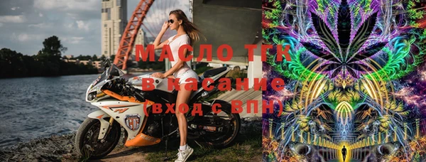 сатива Бородино