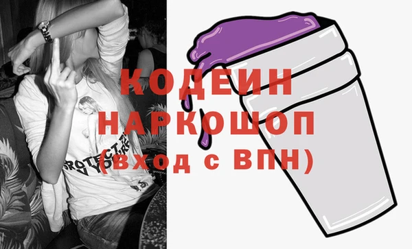 сатива Бородино