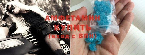 сатива Бородино