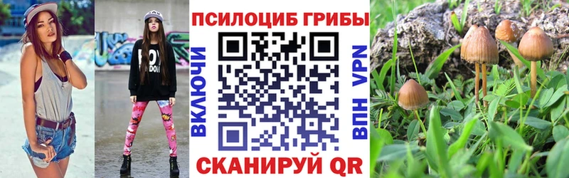 Купить  Старая Купавна  Псилоцибиновые грибы GOLDEN TEACHER 